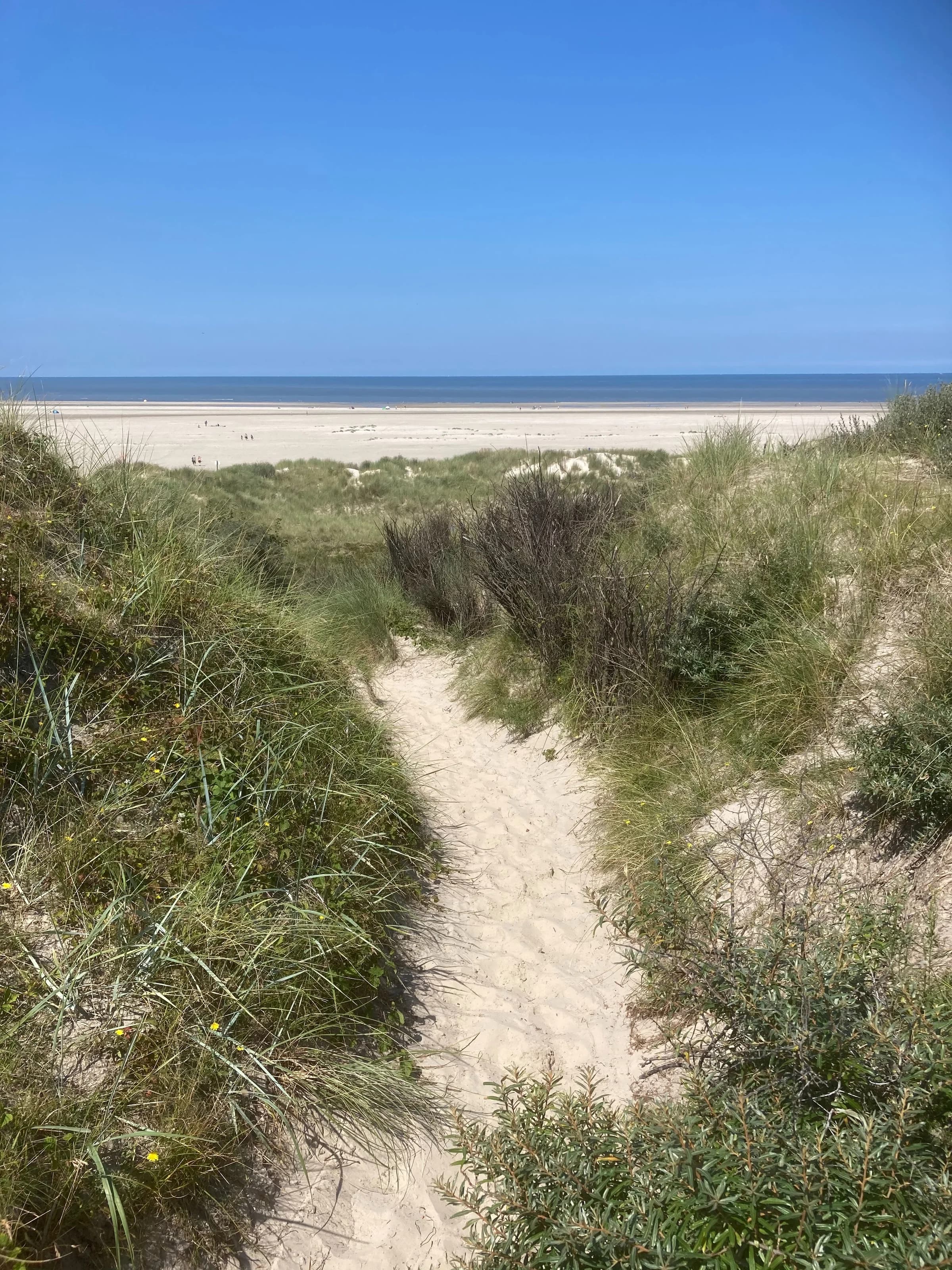 Borkumer Sandstrand hinter den Dünen